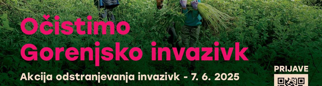 INVAZIVKE 2025