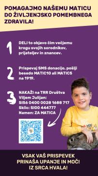 Pokoncna slika-si