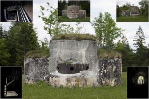 Rupnikova linija in Alpski zid